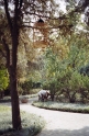 gardens, Xian China 9